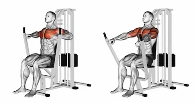 Exercise Database Chest16 Seated Machine Chest Press Jase Stuart The Better Body Coach